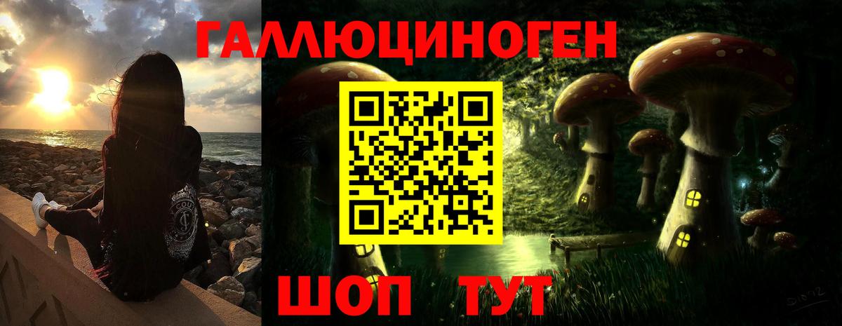 Тамбов  Галлюциногенные грибы GOLDEN TEACHER  Псилоцибиновые грибы мицелий  Вход с VPN 