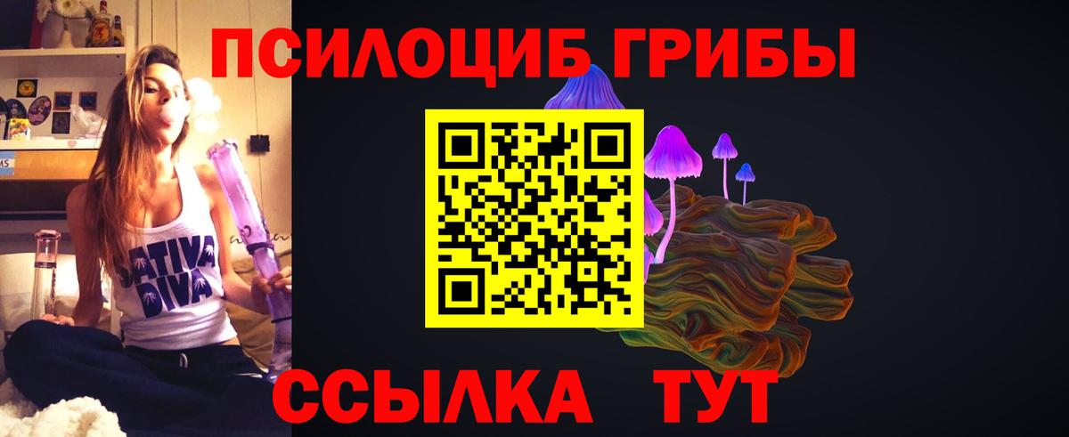 Галлюциногенные грибы Psilocybine cubensis Тамбов